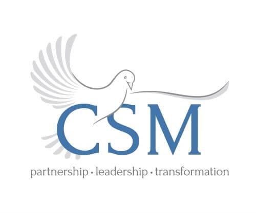 CSM Resita logo, Vector Logo of CSM Resita brand free download (eps, ai,  png, cdr) formats